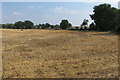 Footpath across the hay field to Cublington in LU7 0LP