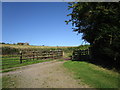 Cattle grid, Llangattock-Vibon-Avel in NP25 5HD