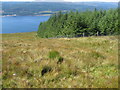 Creagan an Eich hillside towards Loch Fyne in PA27 8BX