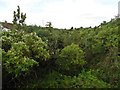 Line of old 'Strawberry' railway trackbed at Easton in BA5 1EH