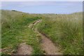 Path north of the George Birnie Bridge in AB42 1NE