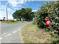 Reepham Road & The Hall Postbox in NR9 5NY