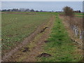 Footpath In Murrow in Parson Drove & Wisbech St. Mary Ward
