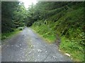 The cycle track joins the forest road in Bro Machno Community