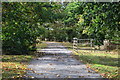 Track and gate at East Hill Farm in SO45 1AL