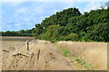 Path across farmland north of Lepe in SO45 1AL