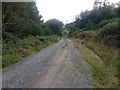 Forest road above Henrhiw Isaf in LL24 0UP
