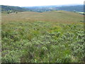 Plateau near Tom an Achaidh Bhig in FK17 8HD