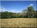 Barley field and house on the edge of Ragdale in LE14 3PB