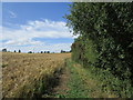 Footpath along the edge of a barley field in LE14 3PB