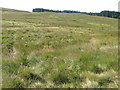 Moorland towards Balameanoch Woods in FK17 8AU