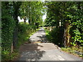 Cattle grid on lane to Norgrove Court, Crumpfield in B97 5TL
