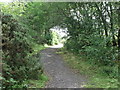 Path, Weetslade Country Park in NE13 6NS