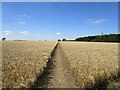 Footpath to Hawthorpe in Kirkby Underwood