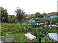 Mosslands allotments, Wallasey in CH44 2EW