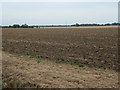 Farmland between Ewerby and Ewerby Thorpe in NG34 9PL