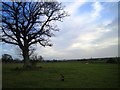 Fields Beside The River Yeo in BA22 8BG