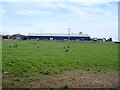 Cattle sheds at Plas Llangwyfan in LL63 5YP