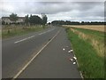 Litter, B6371 Tranent in EH33 2FG