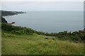 Bench above Wild Pear Beach in EX34 0DS