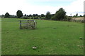 Nene Way crossing the pasture in NN7 3LG