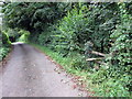 Llwybr yn gadael yr heol / Path exiting the road in SA32 8NX