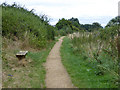 Path around Duston Mill Reservoir in NN4 8JU