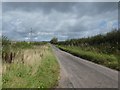 Minor road north of A35, with wide verges in DT2 9EG