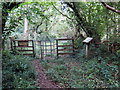 Llwybr coedog yng Nghrwbin / Wooded path in Crwbin in SA17 5EE