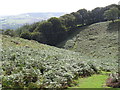 Path on the Quantock Hills, near Bicknoller in TA4 4BE