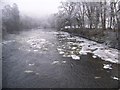 The River Clyde in Winter in ML8 5RF