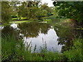 Pond at the Manor House, Hunston, West Sussex in Hunston