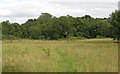 Open land at Merrymeade Country Park, Brentwood in CM14 4ST