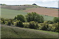 View toward Woodborough Hill in SN8 4JX