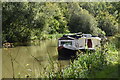 Moored narrowboats opposite Wilcot Withy Bed in SN9 5NS