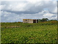 Pillbox in a field near Morston Hall in IP11 0SQ