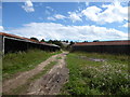 Disused farm buildings at Morston Hall in IP11 0SQ