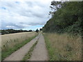 Track to Thorpe Common in IP11 0RZ