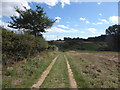 Track towards Fire Hill in IP11 0SQ