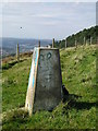 OS Trig Point above Skewen in SA10 6PS
