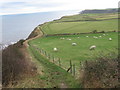 The Cleveland Way from Petard Point in YO13 0EY