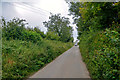 Rose Ash : Country Lane in EX36 4RD