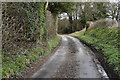 Lane in Empshott Green in GU33 6HU