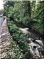 River Bollin, Bollin Grove Prestbury in SK10 4DN