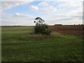 Field boundary near Tickencote in Tickencote