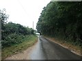 Docking Road alongside Long Plantation in Burnham Market & Docking Ward