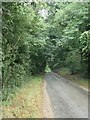 Docking Road heading north-east to Burnham Market in Burnham Market & Docking Ward