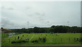 Sports field,  Ellon in AB41 8LN