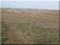 Heap of unidentified mineral in a wheat stubble field in PE31 8QR