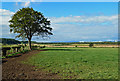 Farmland near Dundonald in KA2 9BY